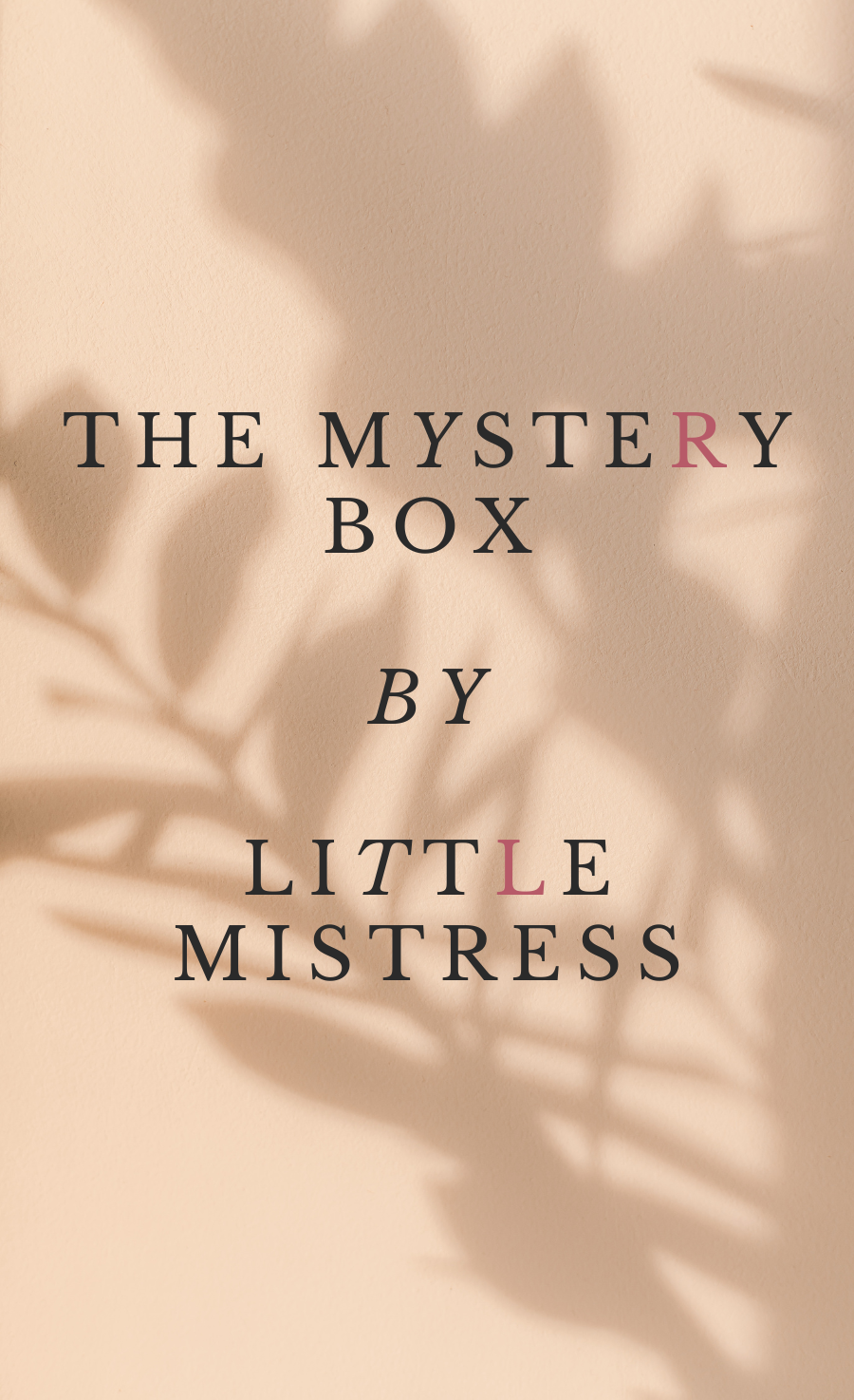 Mystery Box by Little Mistress