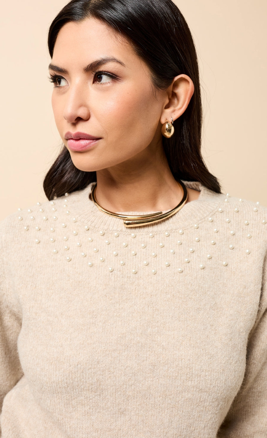 Dahlia Taupe Embellished Knitted Jumper