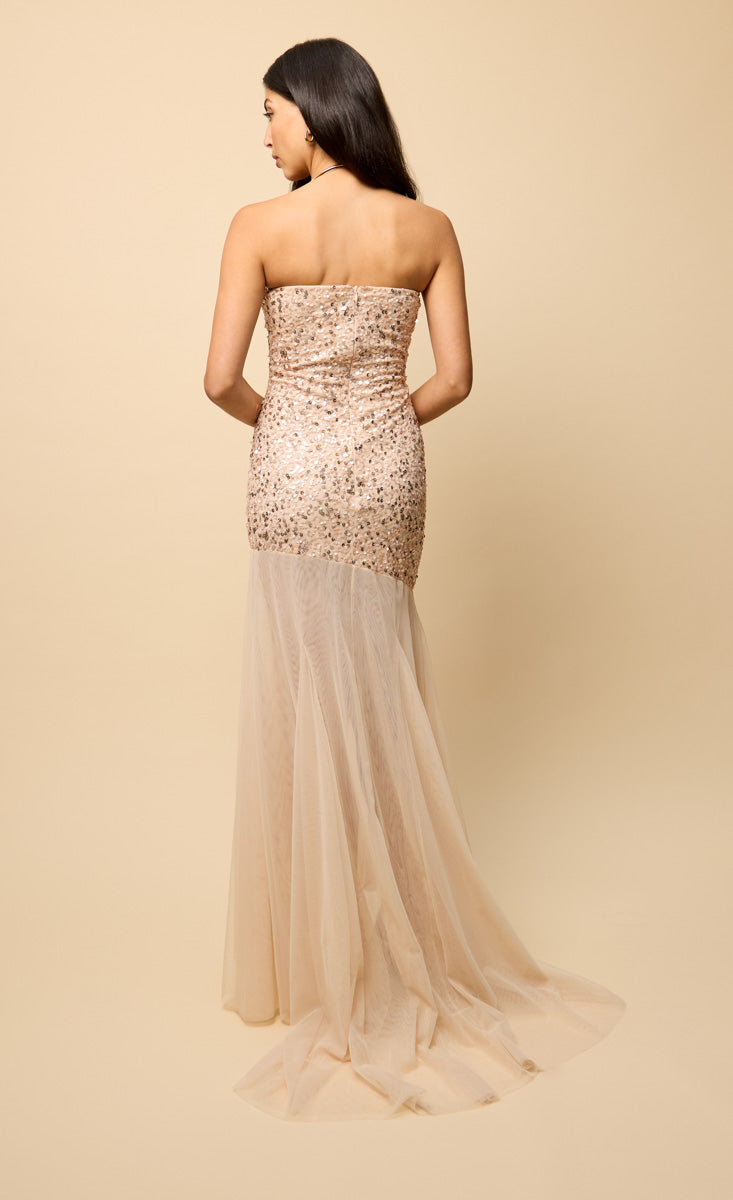 Harlow Nude Mesh Train Embellished Maxi Dress