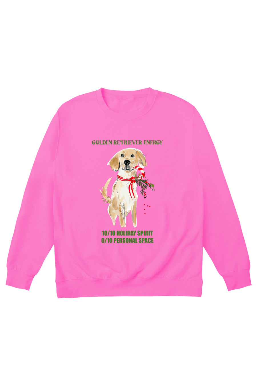 Golden Retriever Energy Jumper