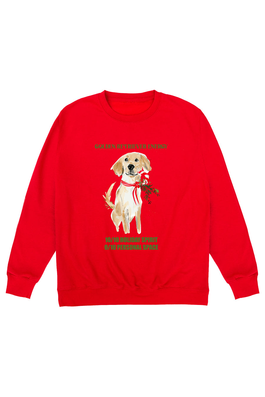 Golden Retriever Energy Jumper