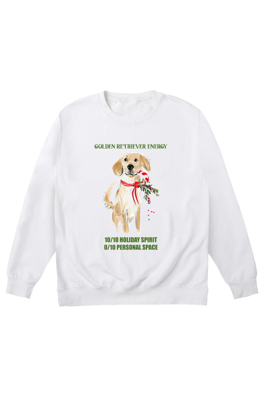 Golden Retriever Energy Jumper