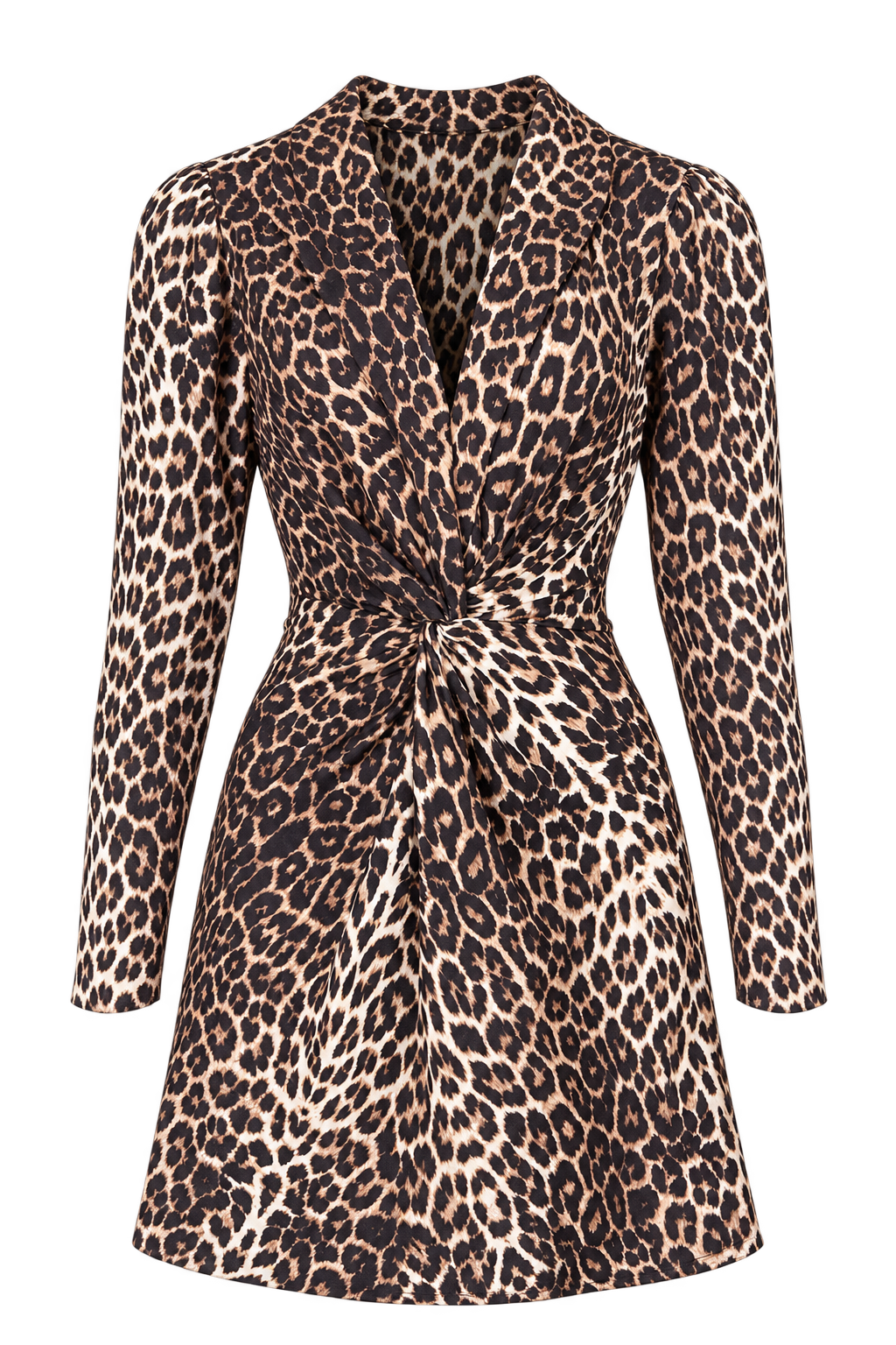 Ringgold Leopard Print Mini Dress by iSKA
