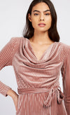 Rose Stripe Velvet Devore Cowl Neck Mini Dress