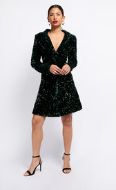 Green Sequin Velvet Mini DressDressesMini DressLittle Mistress