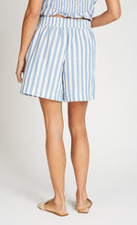 Blue Stripe  Shorts