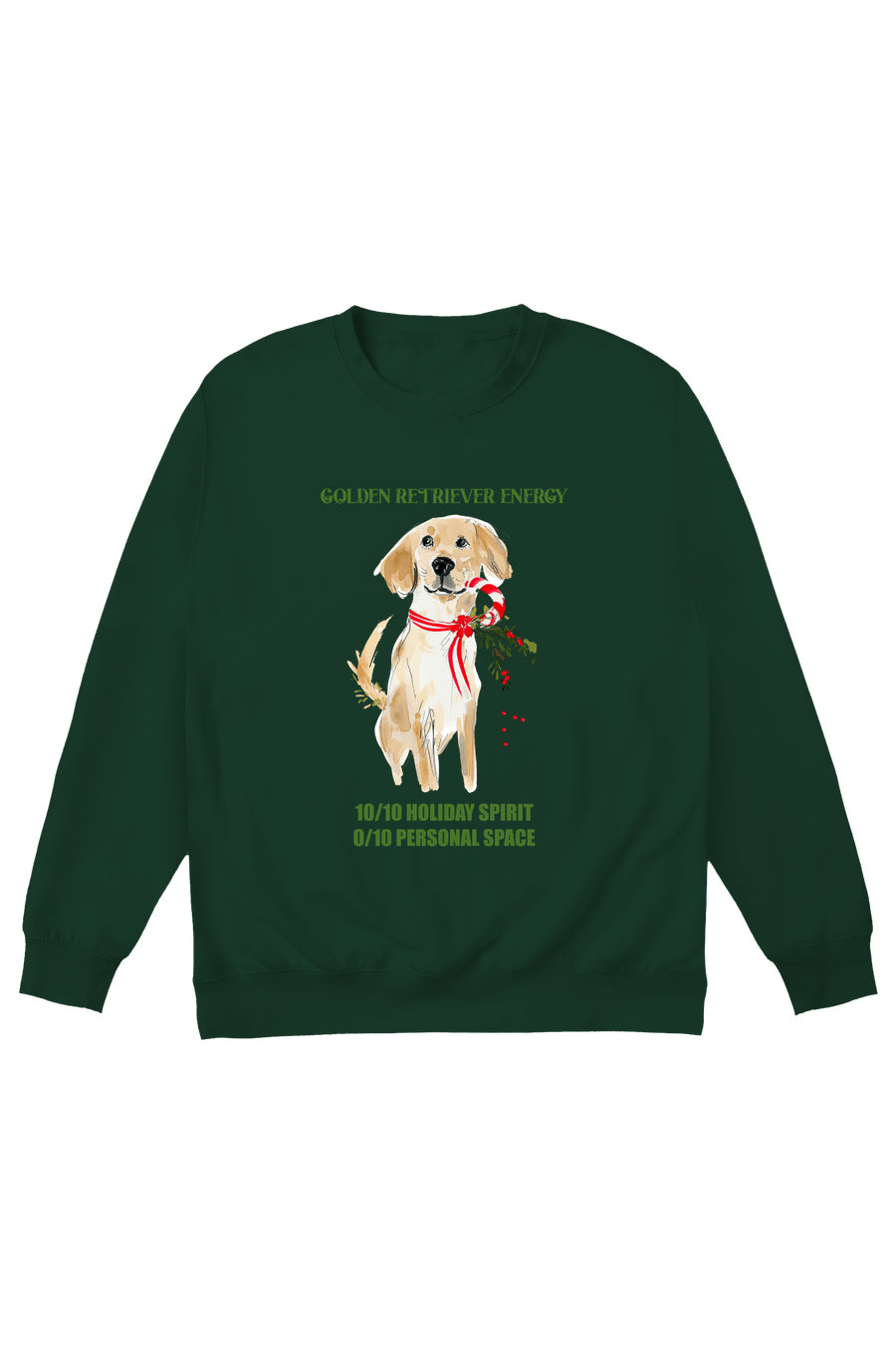 Golden Retriever Energy Jumper