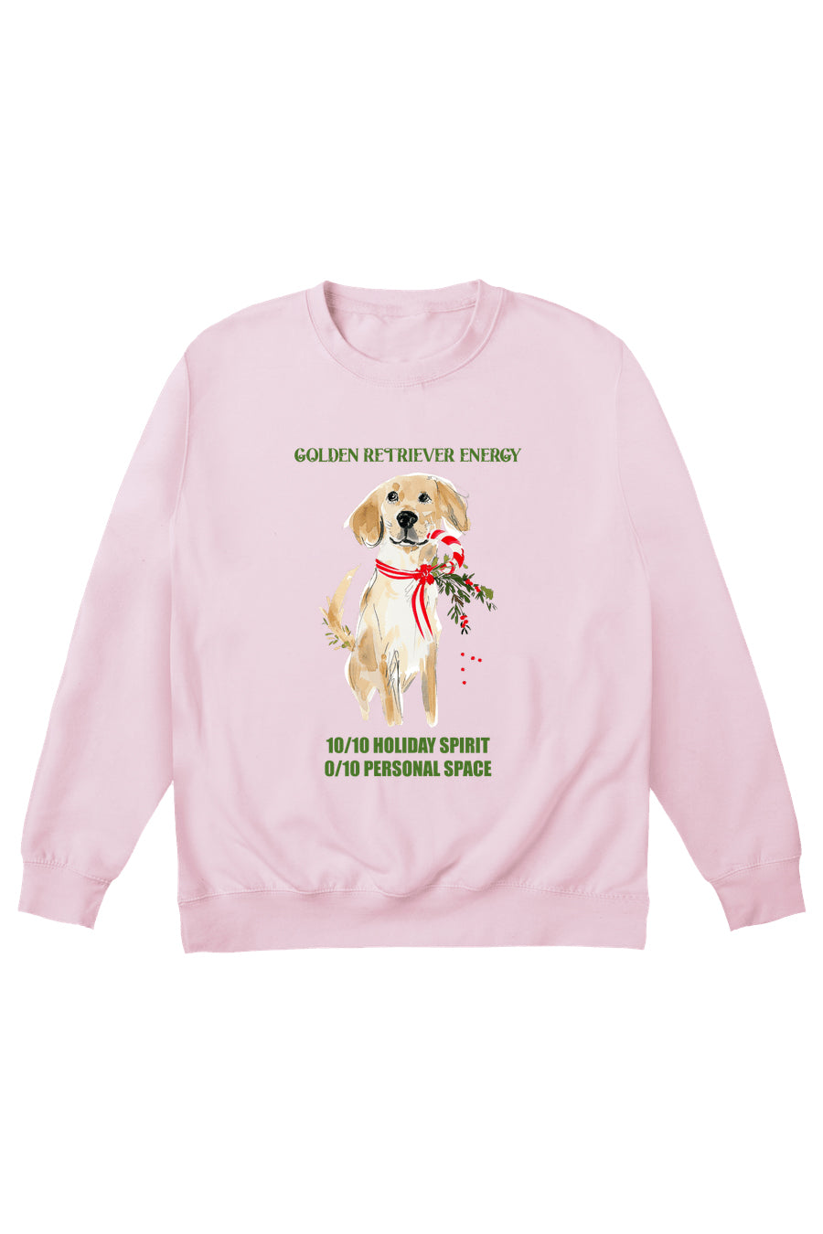 Golden Retriever Energy Jumper